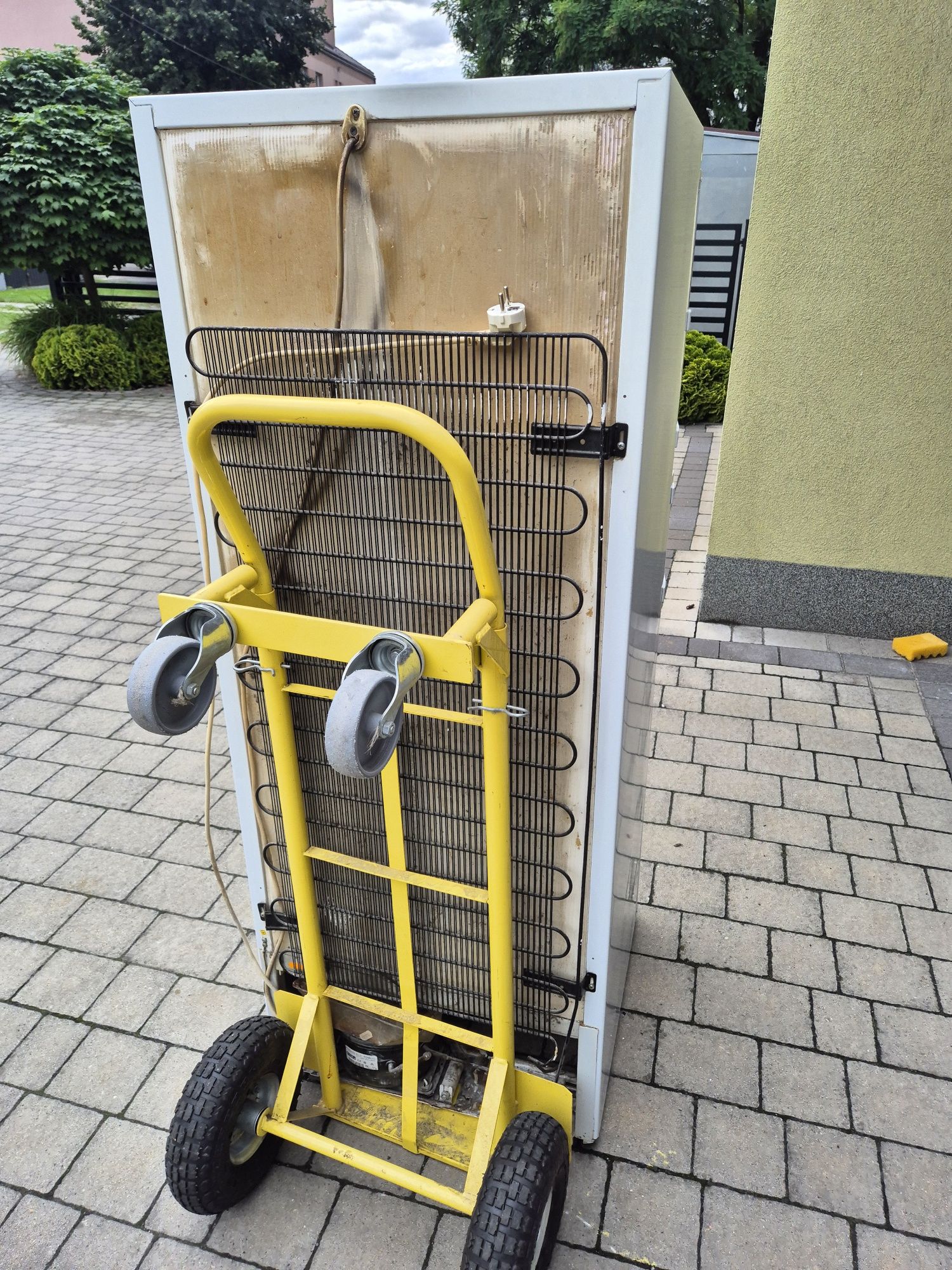 Lodówka Amica Fresh Line Plus