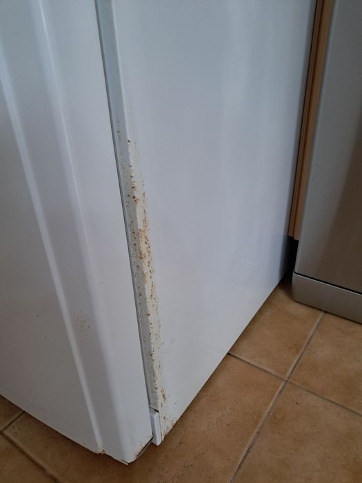 Frigorífico Hotpoint Ariston