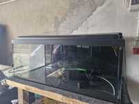 Akwarium 200l (100x40x50) z filtrem i akcesoriami
