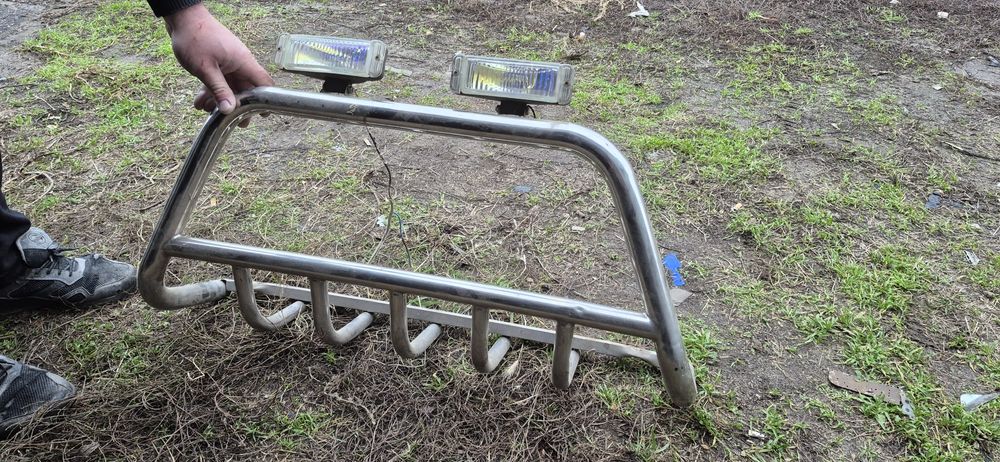 Кенгурятник універсальний