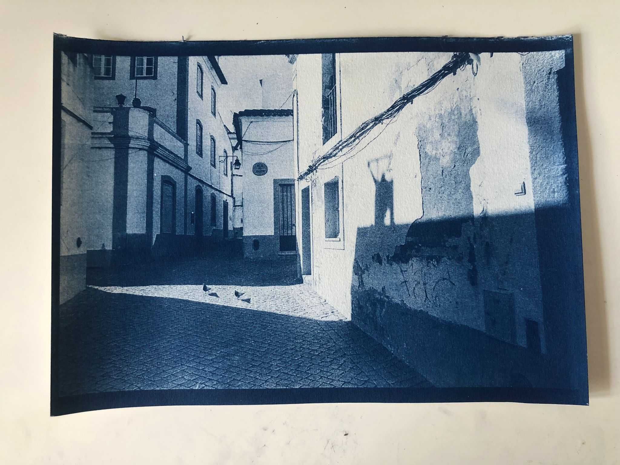 Cianotipia A4 - "Pombos em abertura de luz"