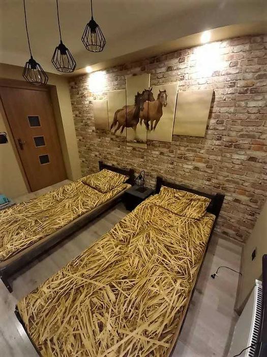 Polanica-Zdrój. Apartament Górska Niezapominajka