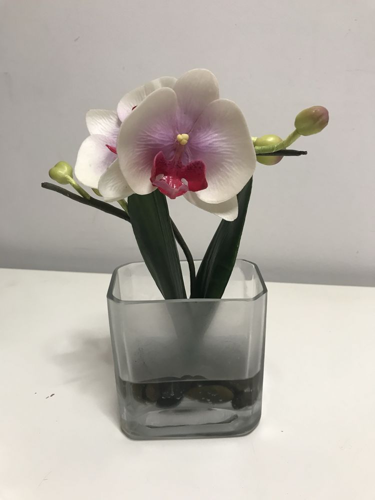 Jarras vidro com orquideas
