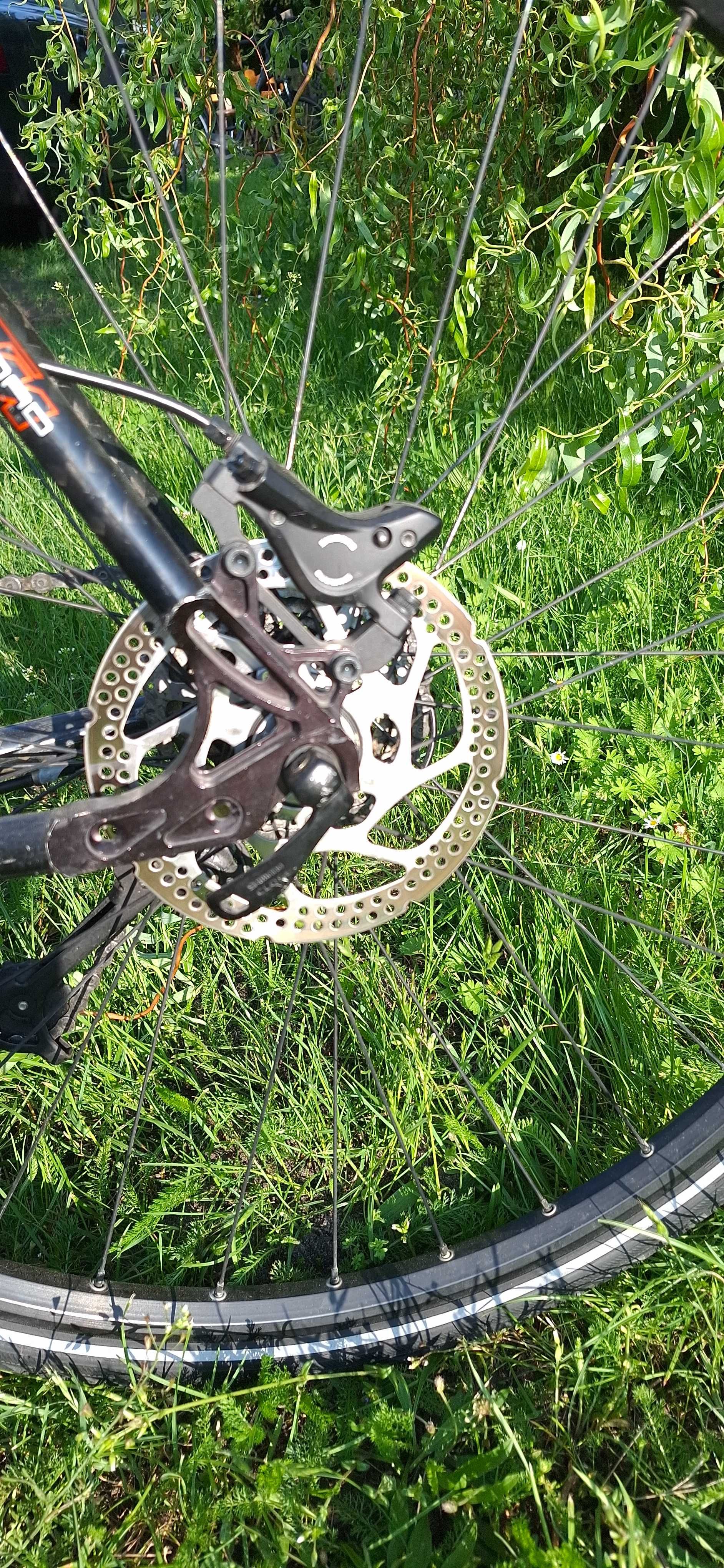 Rower KTM Chronos z karbonu
