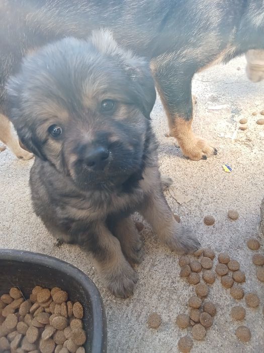 l.Cahorros para dar.