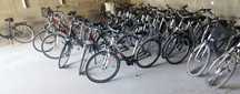 Carver Cyco Pegasus Kalkhoff Kettler  Giant