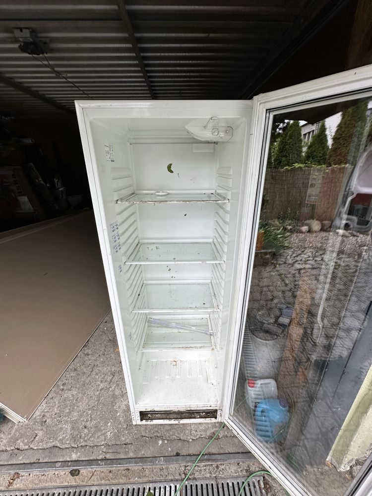 Lodówka witryna chlodnicza przeszklona elektrolux