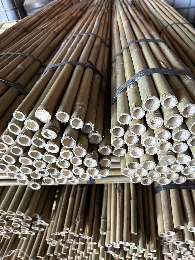 Tyczki sadownicze, tyczki bambusowe 210 cm 20/22 bambusy tyczka