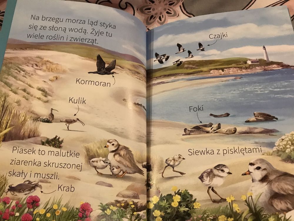 Wybrzeże Młodzi Przyrodnicy