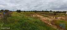 Terreno para construção em Branca de 7020,00 m2
