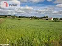 Działka 3500 m² w Skrzydłowie, z warunkami zabudow