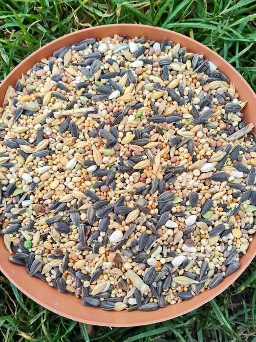 Mieszanka drobna dla papug oraz ptaków w ogrodzie, 25kg