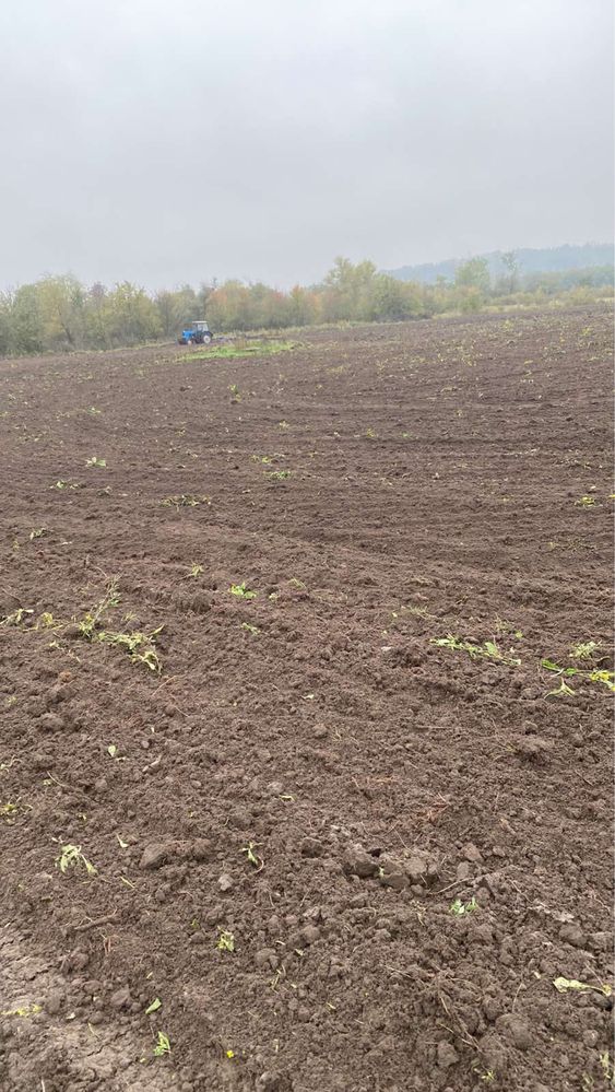 Пай , земля , участок , земельна  ділянка