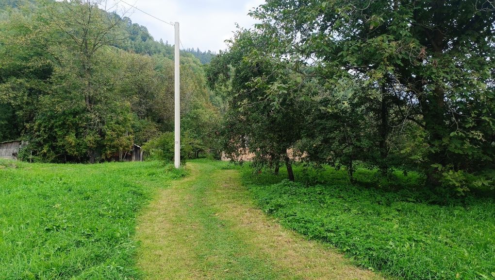Будинок земля в горах с. Розтоки