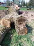 Sprzedam drewno orzechowe