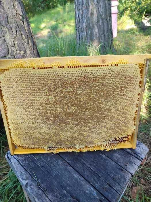 Сотовий (стільниковий) мед у рамках за приємною ціною