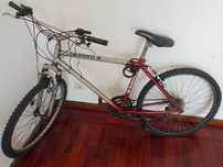 bicicleta adulto