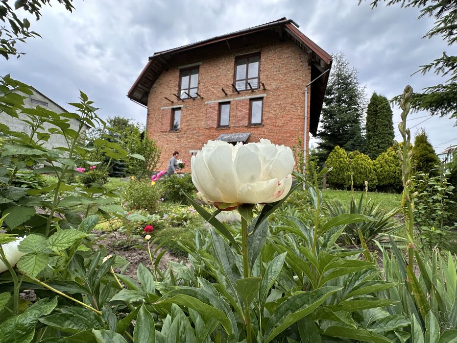 Продаж будинку Пустомити.