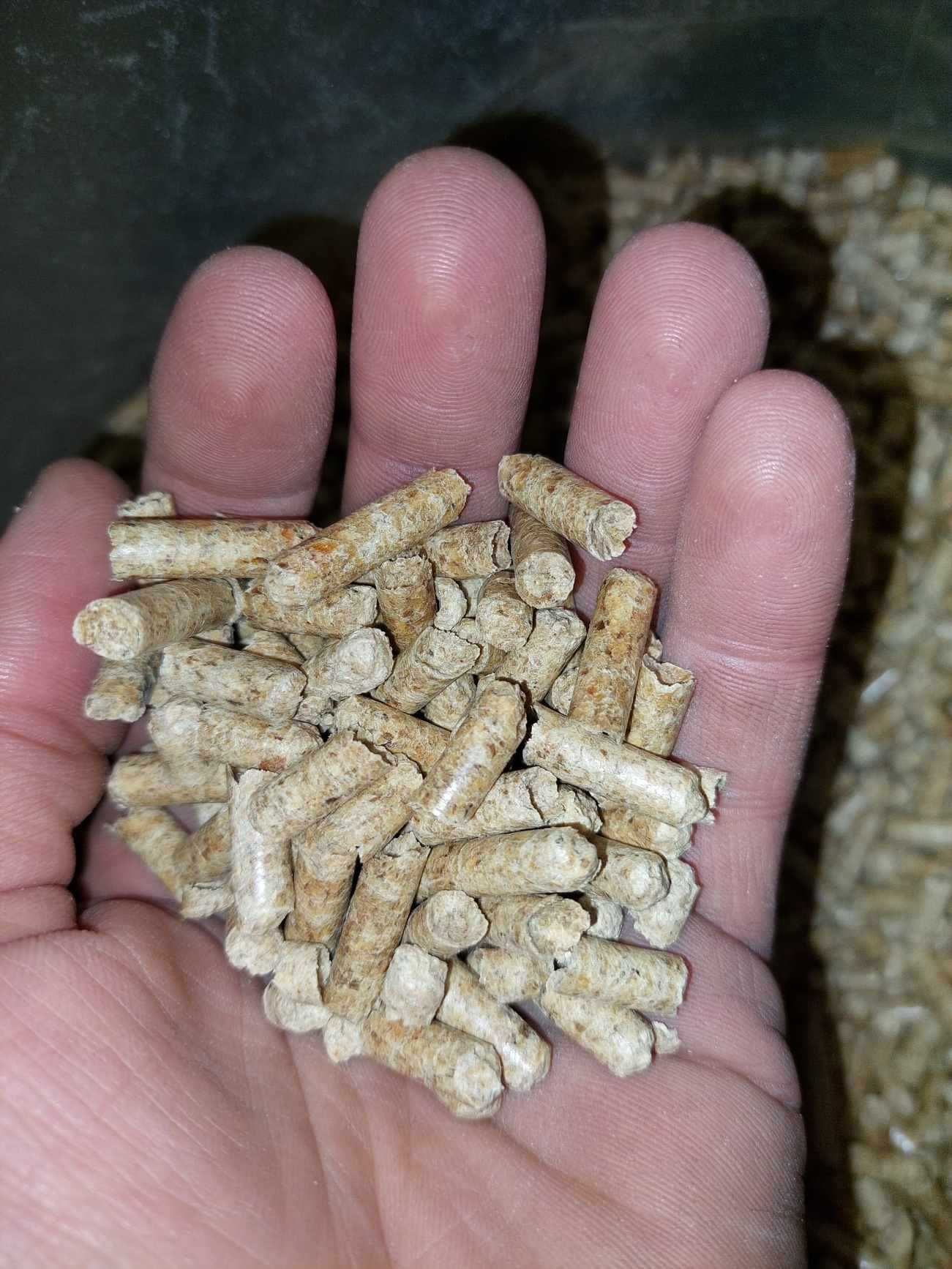 żwirek dla kota 15 kg Pinuś SOSNOWY