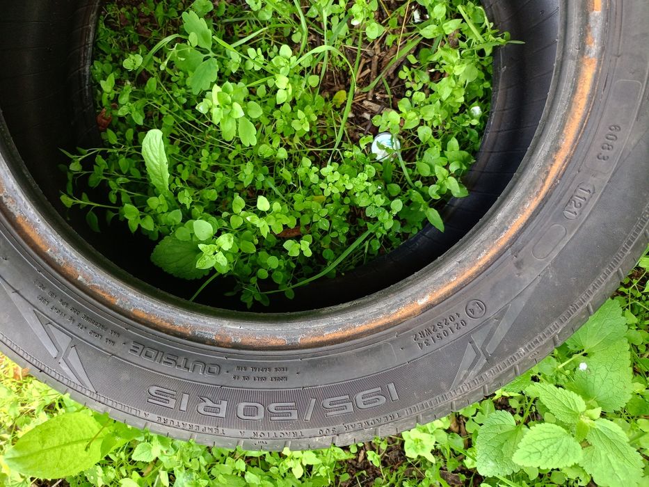 Opony Nokian wetproof 195/50R15