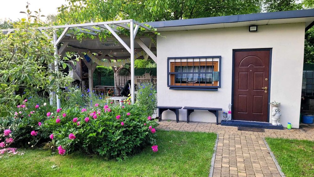 Działka ROD „SŁONECZNE WZGÓRZE” Katowice , Bogucice , ul. Osikowa