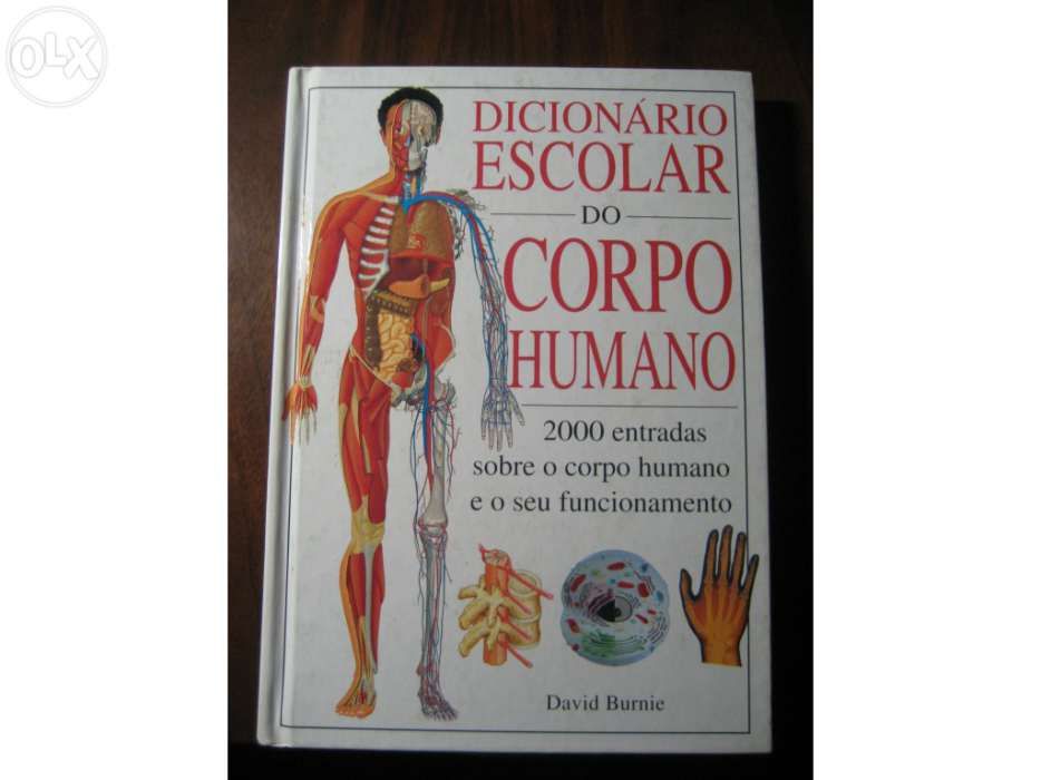 Dicionário Escolar do Corpo Humano
