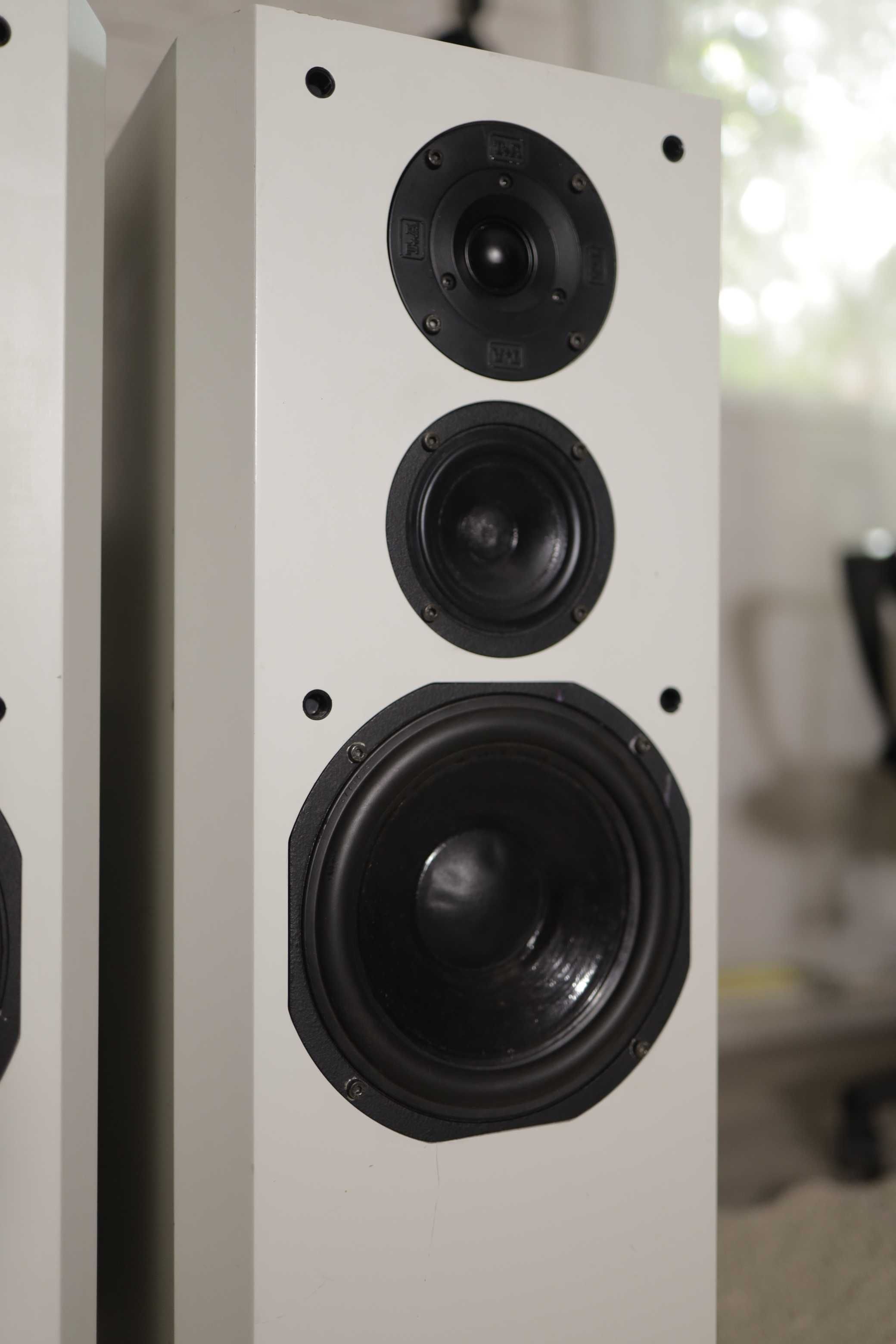 Hi-Fi акустика T+A Criterion TMR 60