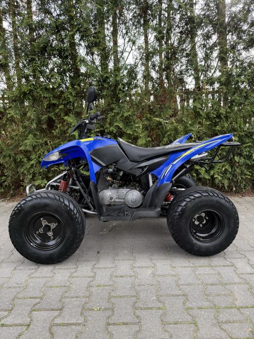 Aeon cobra 220 sport * okleina * sportowy * bashan cpi barossa