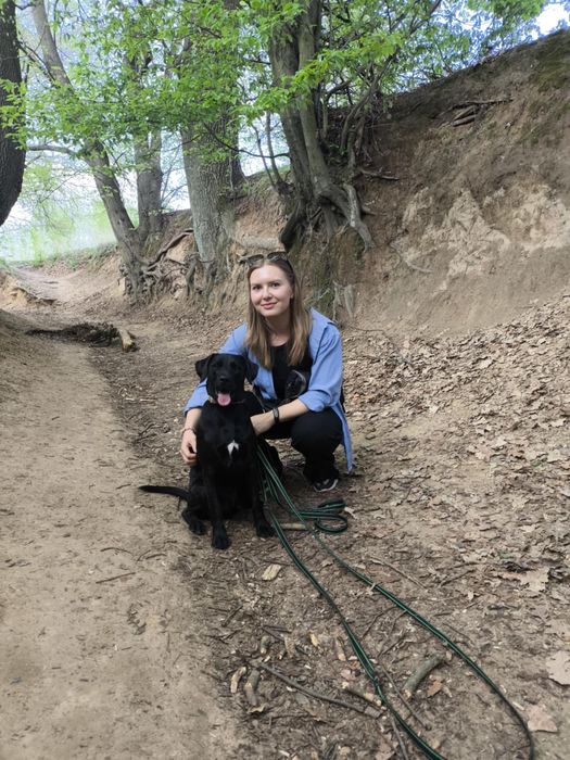 Trener Psów | Szkolenie Psów | Spacery Socjalizacyjne