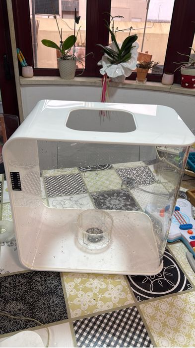 Aquario Biorb flow 30