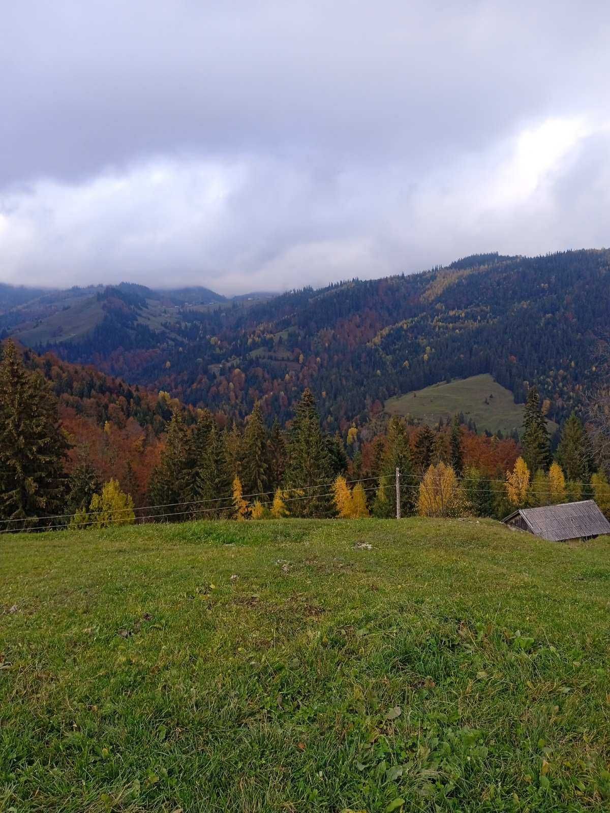 Продаю земельну ділянку