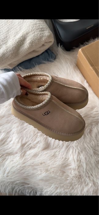 ugg tazz ugg tasman