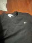 Lote camisolas Lacoste