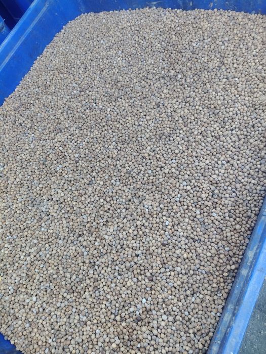 Pestka wiśni na opał