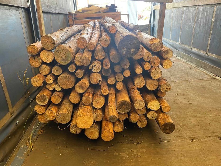 Stemple budowlane drewniane ok 70 szt +-3metrowe