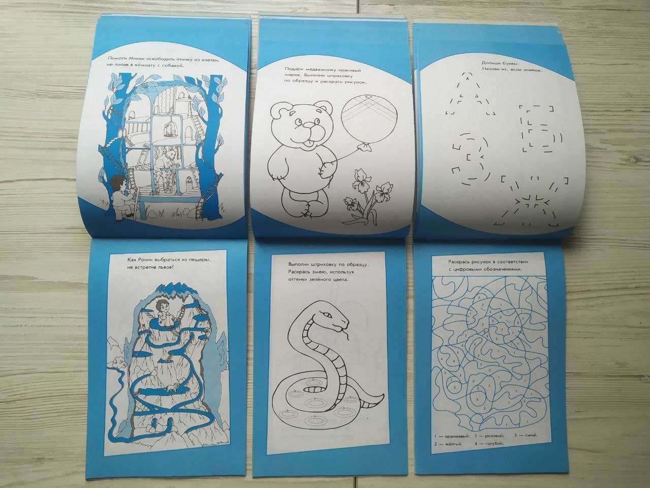 Раскраски-штриховки. Рисунки-невидимки. Лабиринты. 5-6 лет