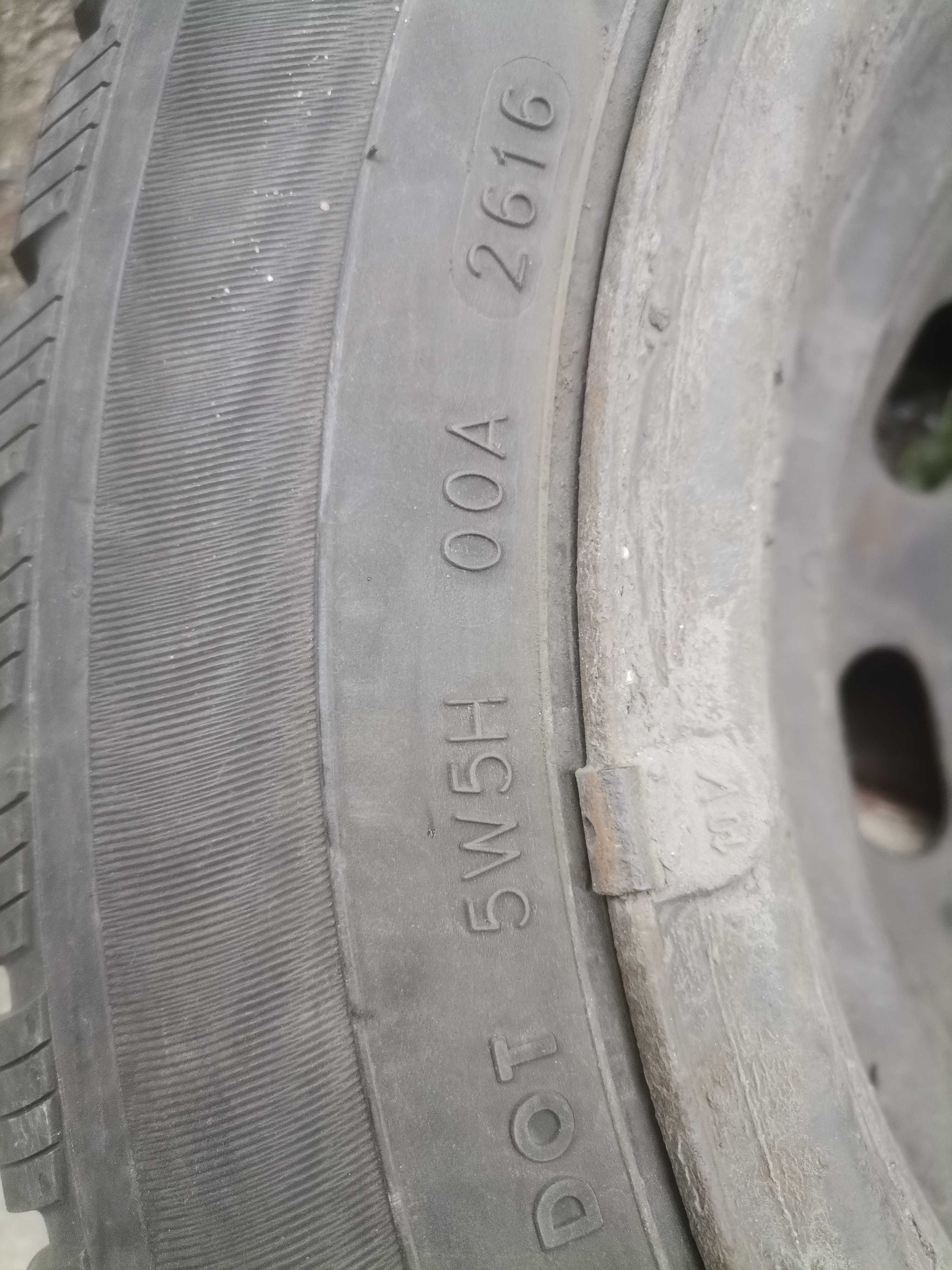 Opony zimowe Champiro Winterpro 185/60R15 zimowe na felgach