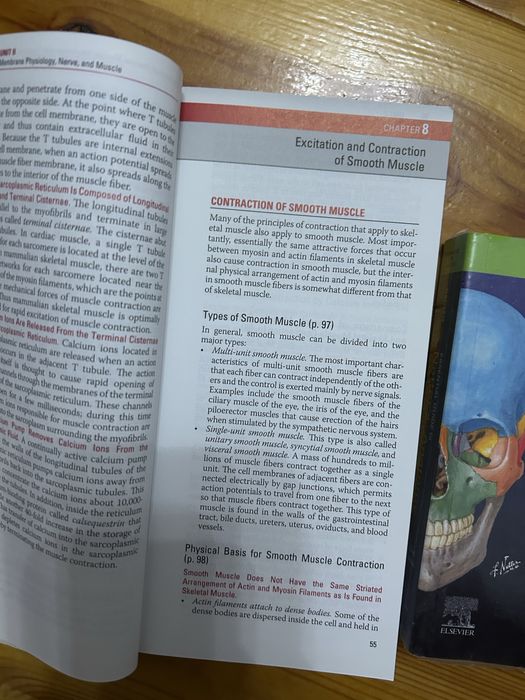 Fizjologia Guyton i Anatomia Netter po angielsku english