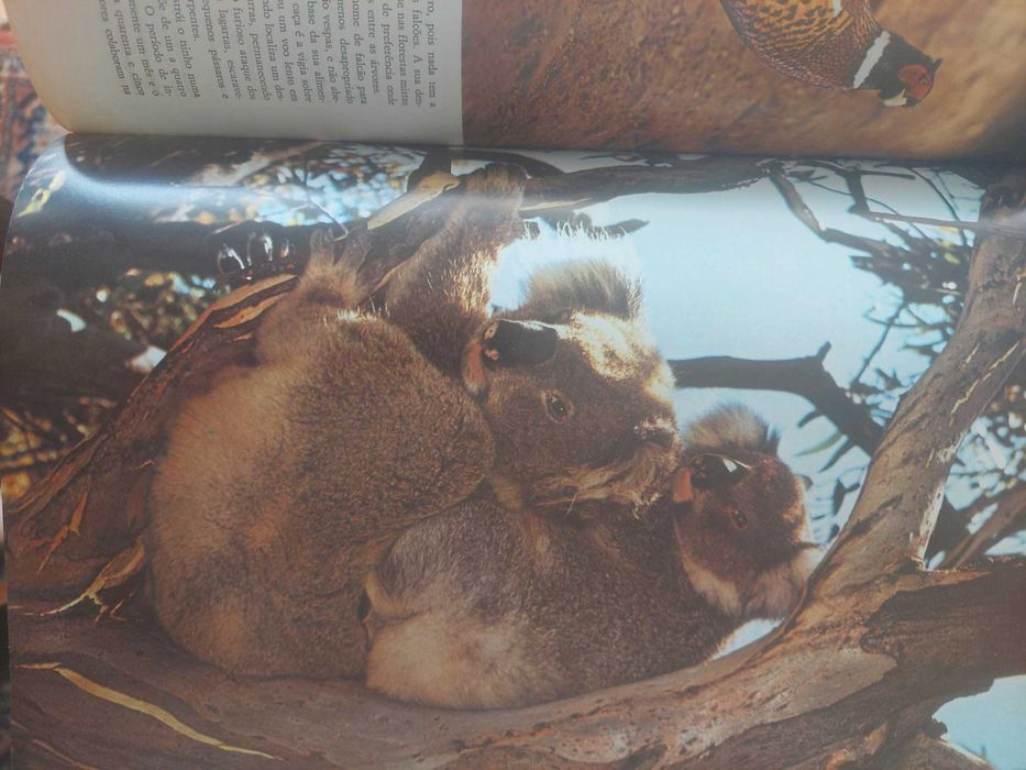 Fauna- Edições Alfa- coleção completa, encadernação de luxo