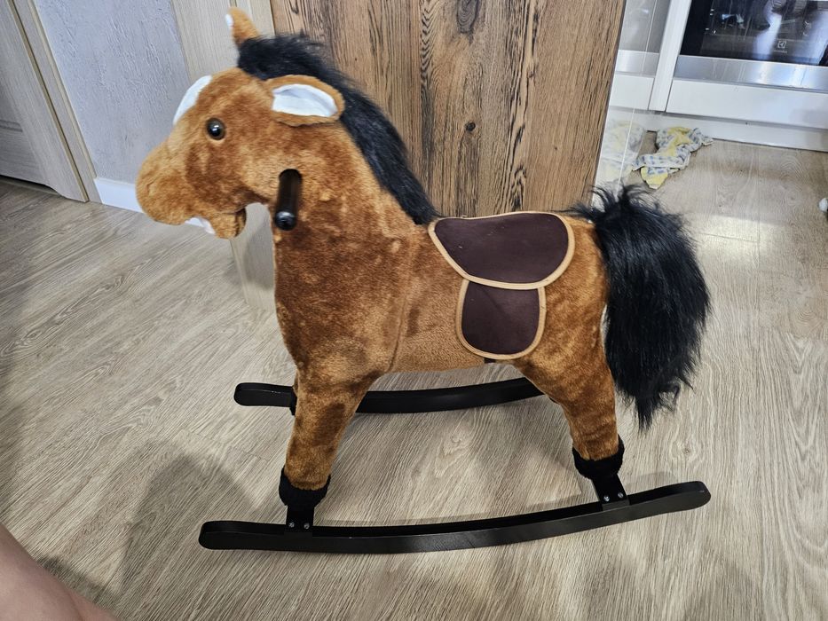 Konik na biegunach.
