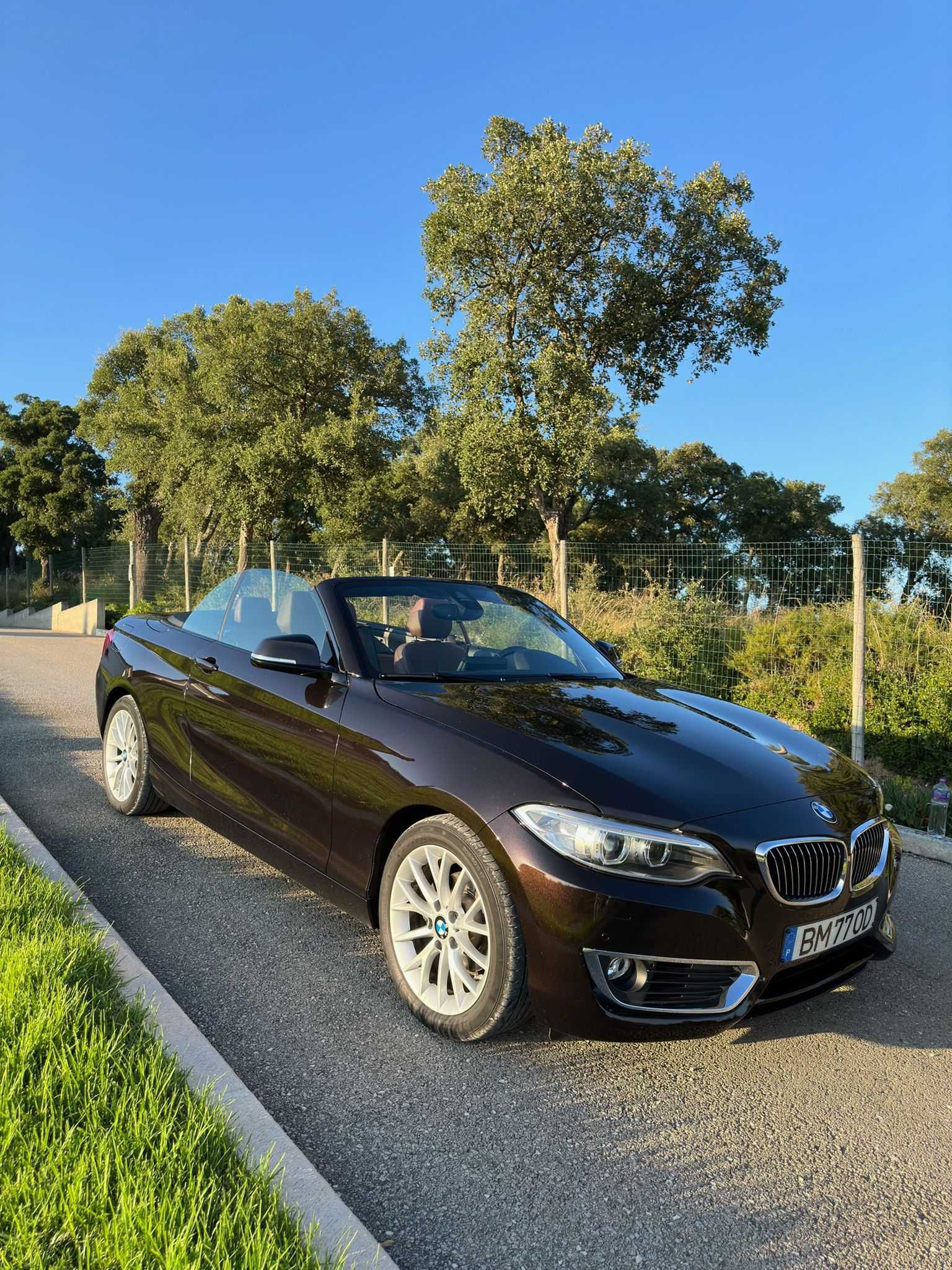 BMW 218 i Cabrio Aut. Luxury Line