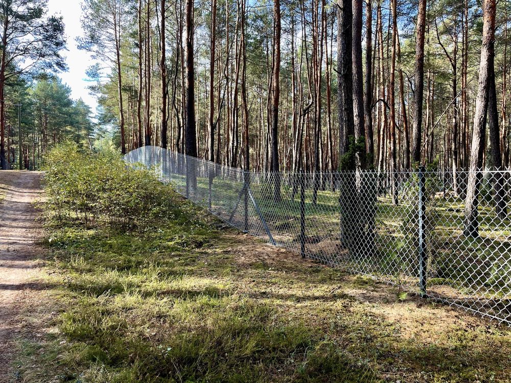 Montaż ogrodzeń Ogrodzenia Panelowe  Siatka Obsadzanie bram i furtek