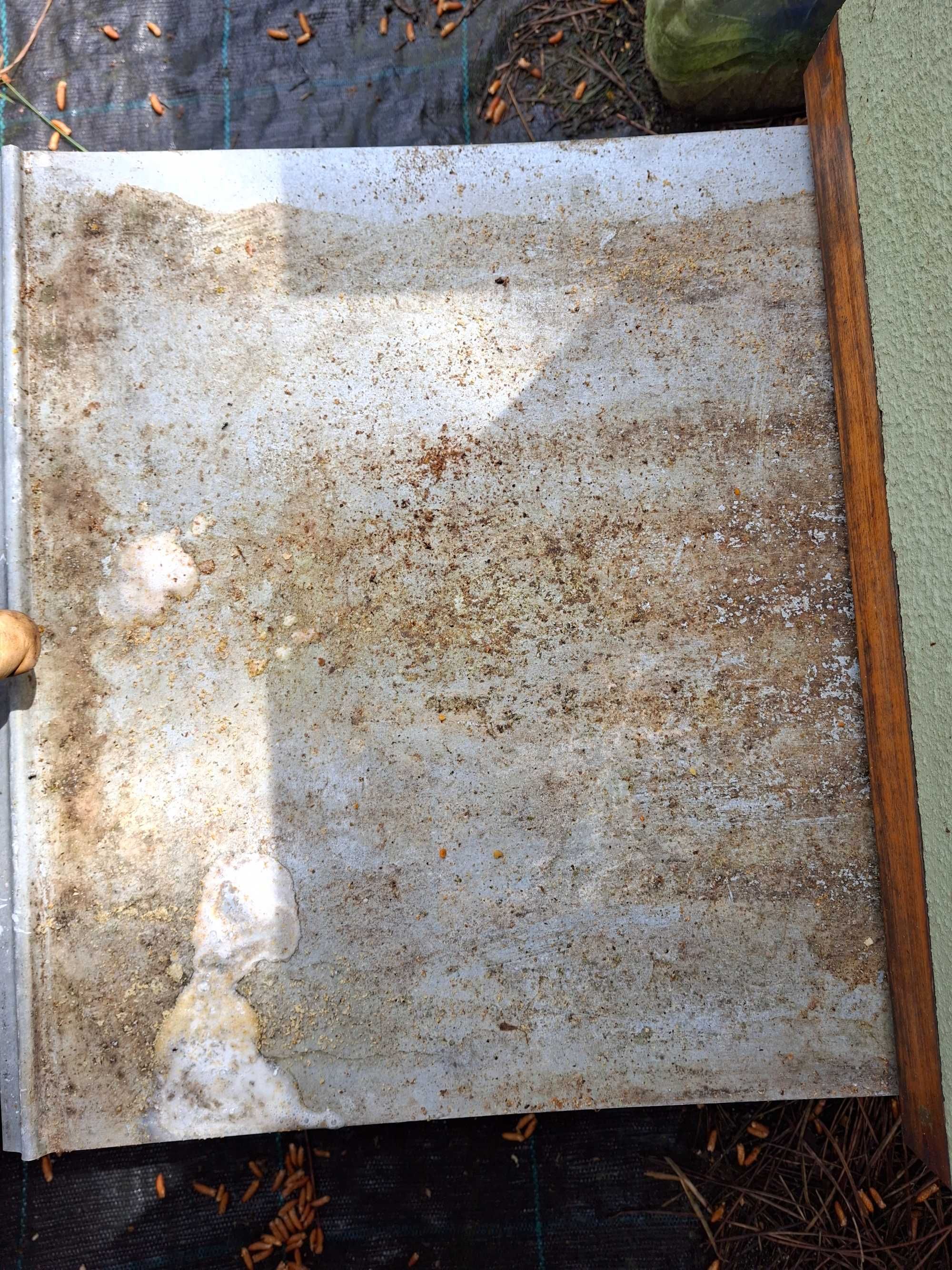 Tiras com glicerina e ácido oxálico para tratamento da Varroa