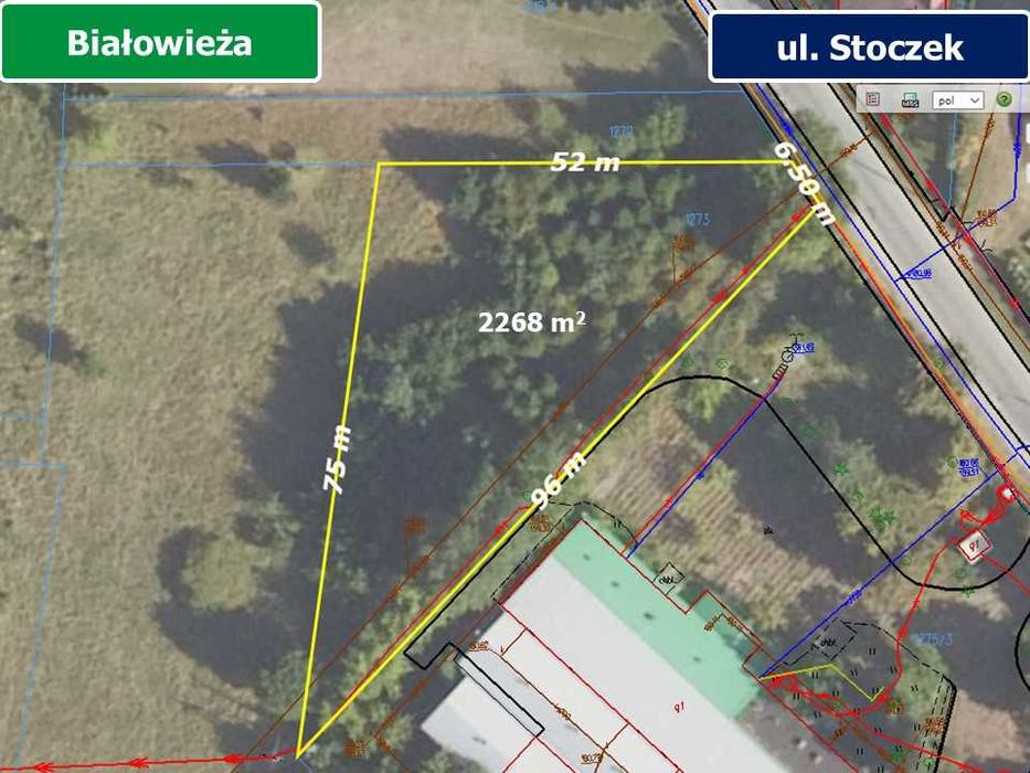 Sprzedam działkę w Białowieży (2268 m² ) ul. Stoczek
