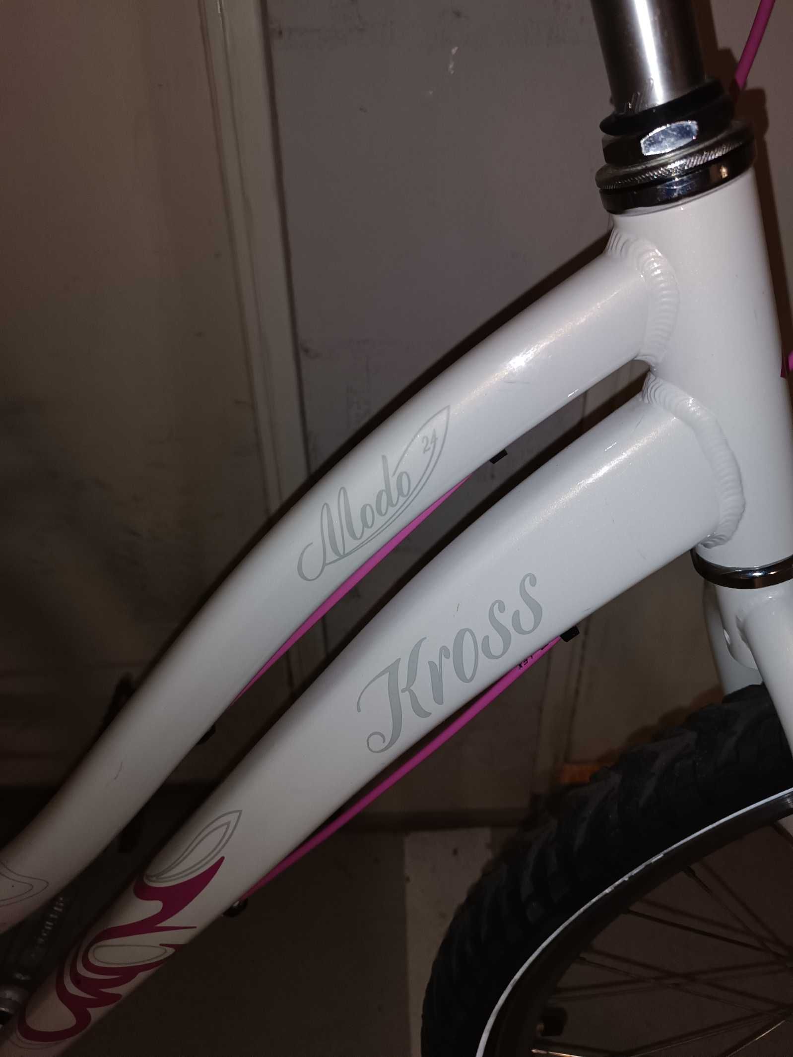 Rower Kross Modo 24