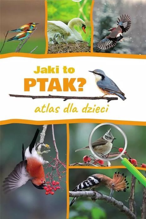 Jaki to ptak? Atlas dla dzieci. SBM