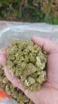 Susz konopny Smalls CBD 5g