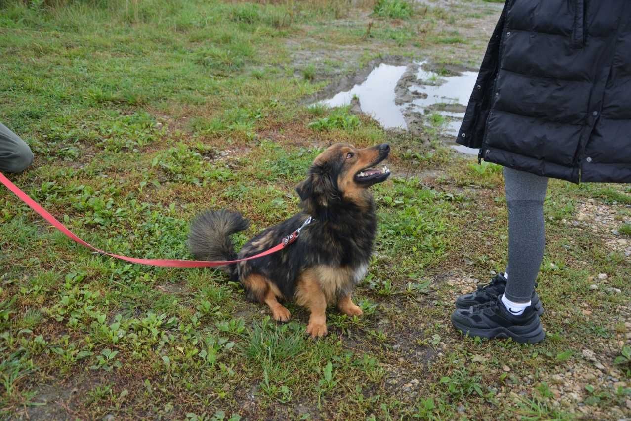 Rysiek - książę puchatości szuka miłości!