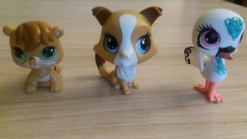 Śpiewajacy Kotek,Świecące i Chodzące Pet Shop