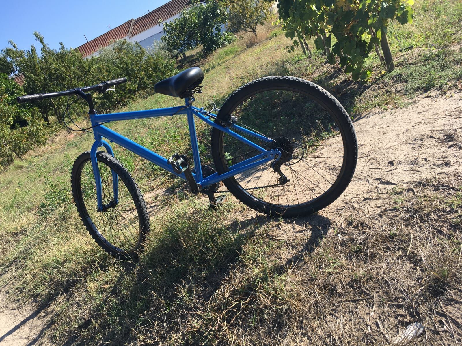 Bicicleta de mato